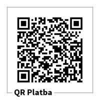 qr solo 2