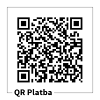 qr platba salsa